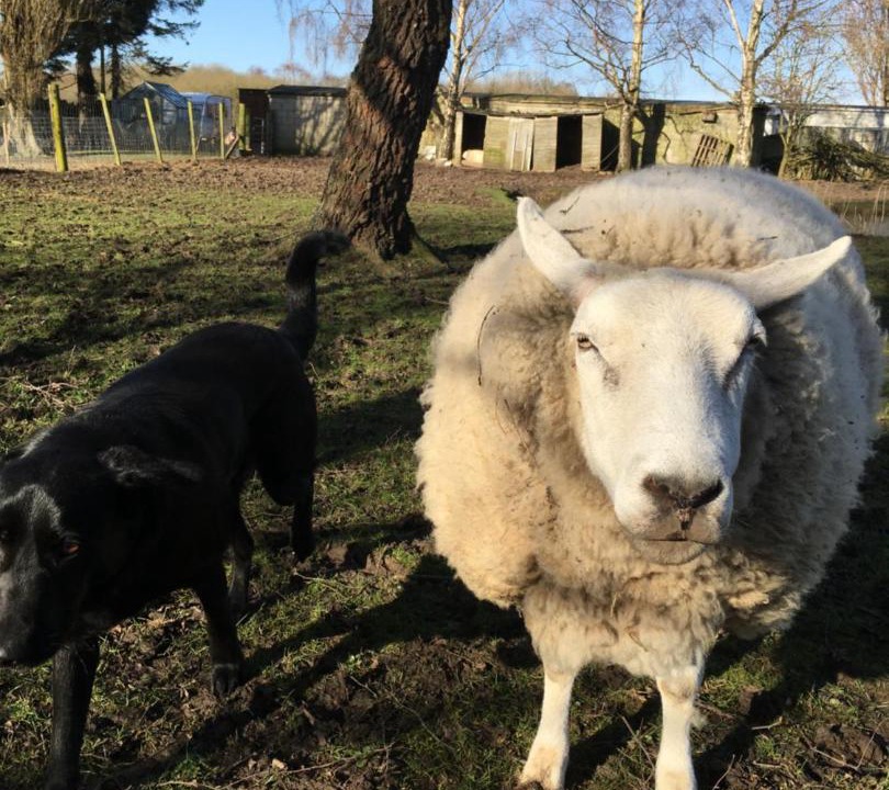 Photo of Others in Barton-upon-Humber