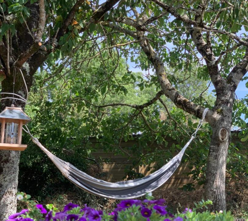 Photo of Others in Mougon-Thorigne