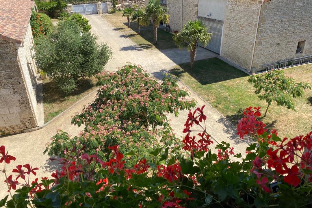 Photo of Others in Mougon-Thorigne