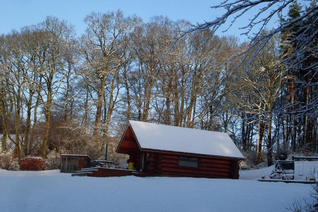 Photo of Others in Wing