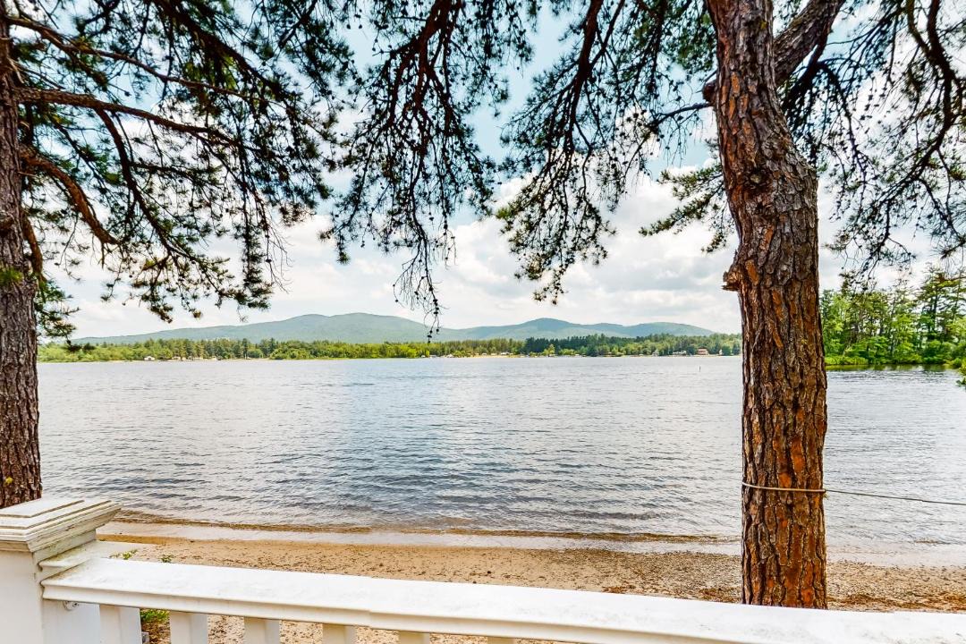 Photo of Others in The Bays