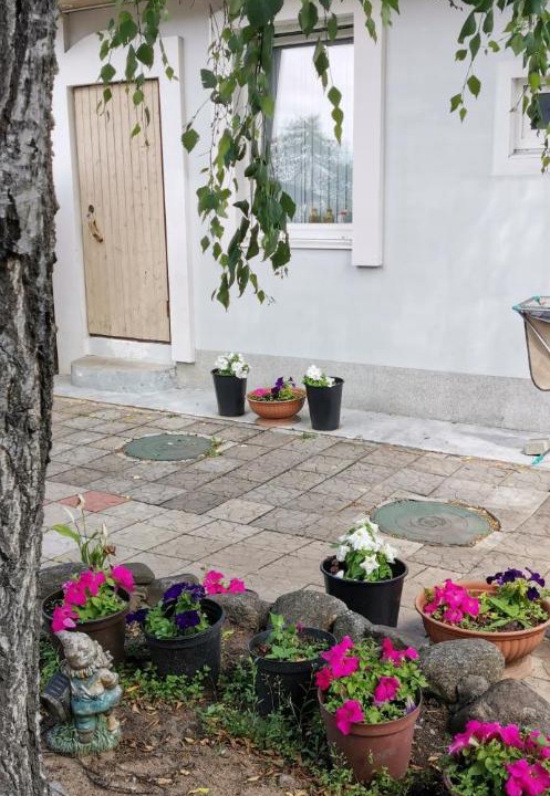 Photo of Buildings in Kurortny District