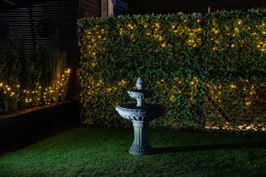 Photo of Others in Matamata