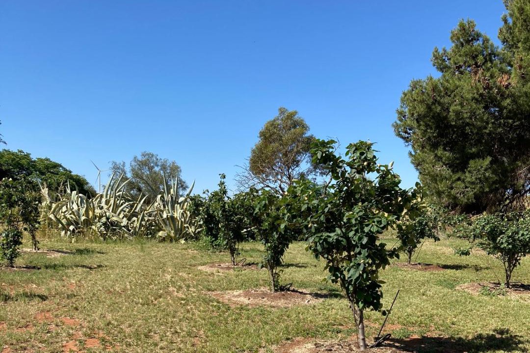 Photo of Others in Jamestown