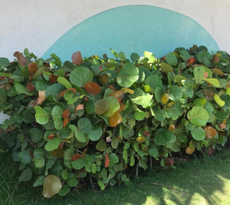 Photo of Outdoor in Punal