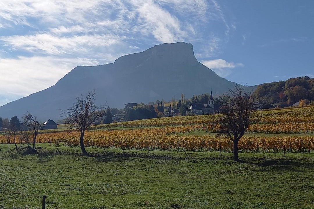 Photo of Others in Apremont