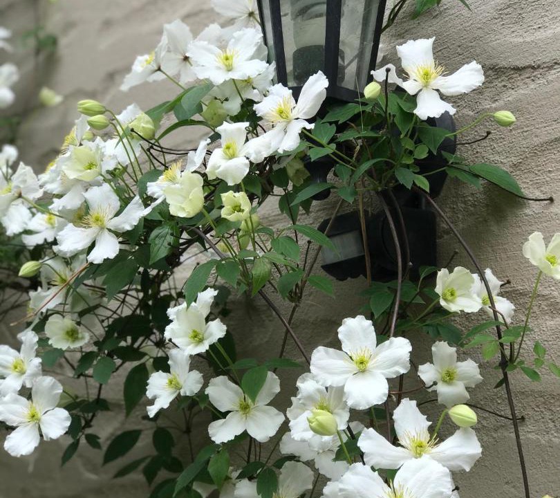 Photo of Others in Arthur's Point