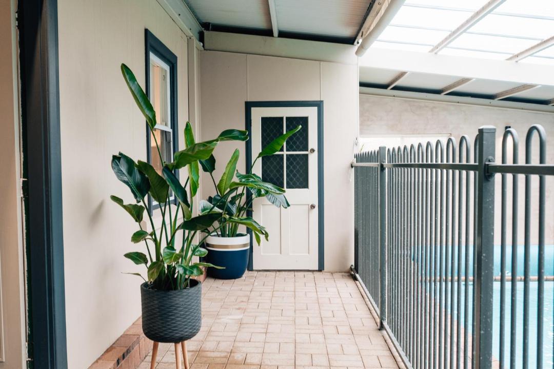 Photo of Others in Light Pass