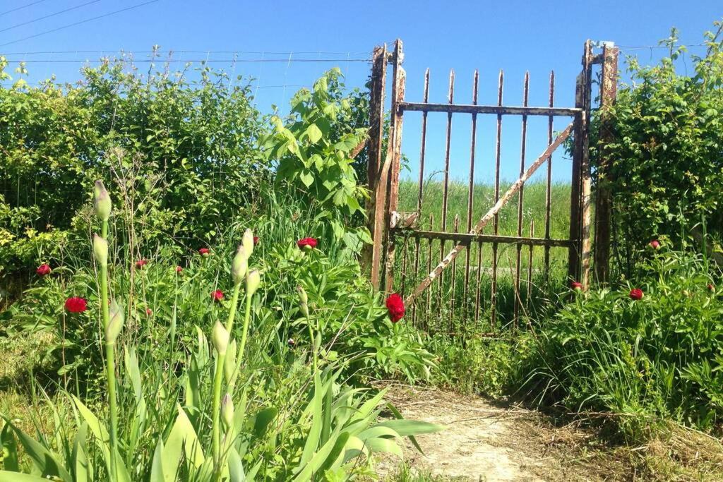 Photo of Others in Rozoy-sur-Serre