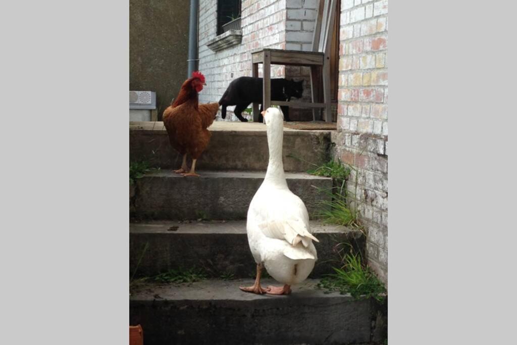 Photo of Others in Rozoy-sur-Serre