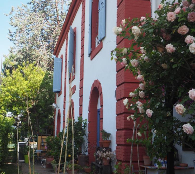 Photo of Others in Millas