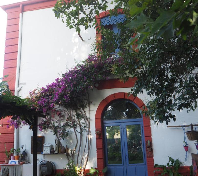 Photo of Others in Millas