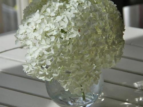 Photo of Others in Castle Bytham