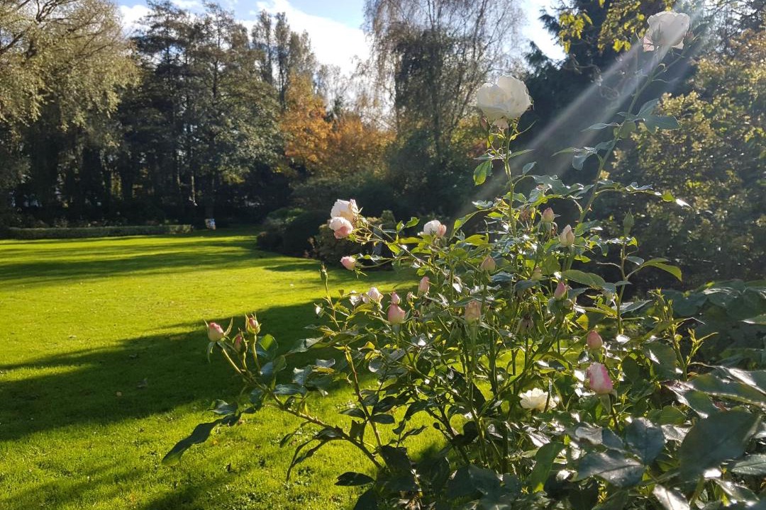 Photo of Others in Hoymille