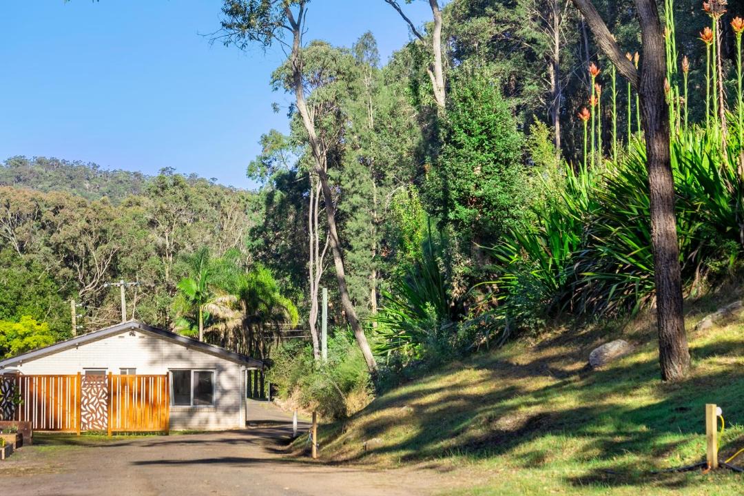 Photo of Others in Lower Mangrove