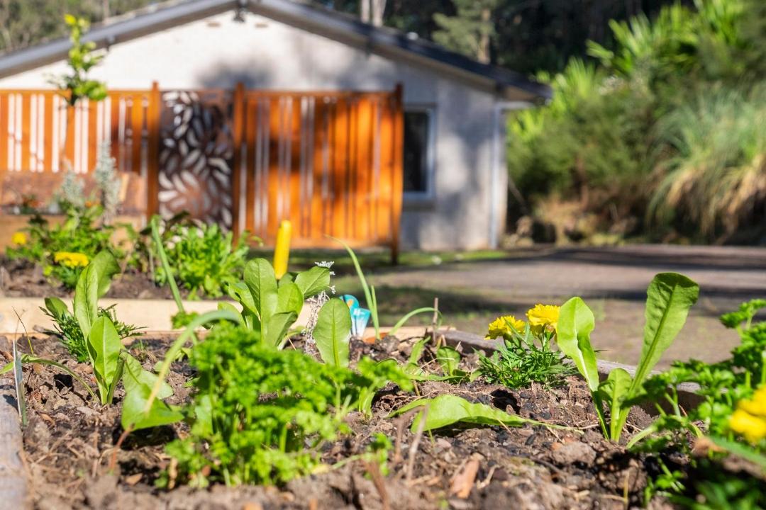 Photo of Others in Lower Mangrove