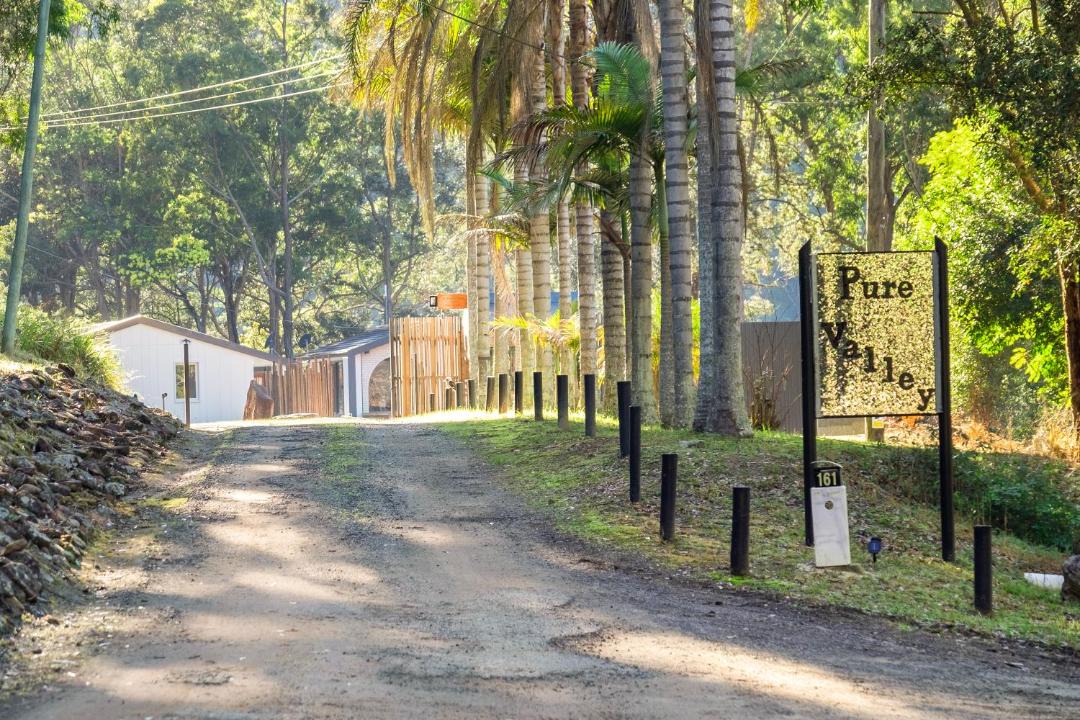 Photo of Others in Lower Mangrove