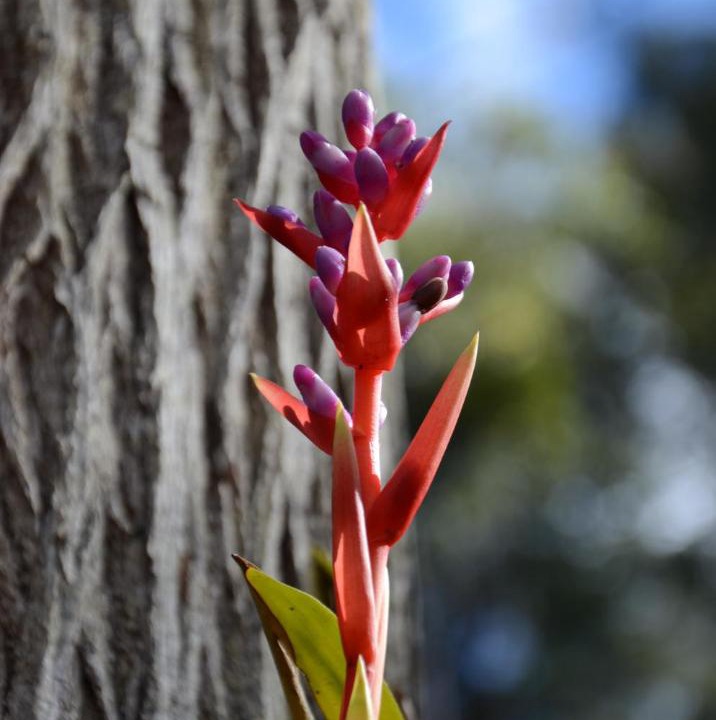 Photo of Outdoor in Lower Mangrove