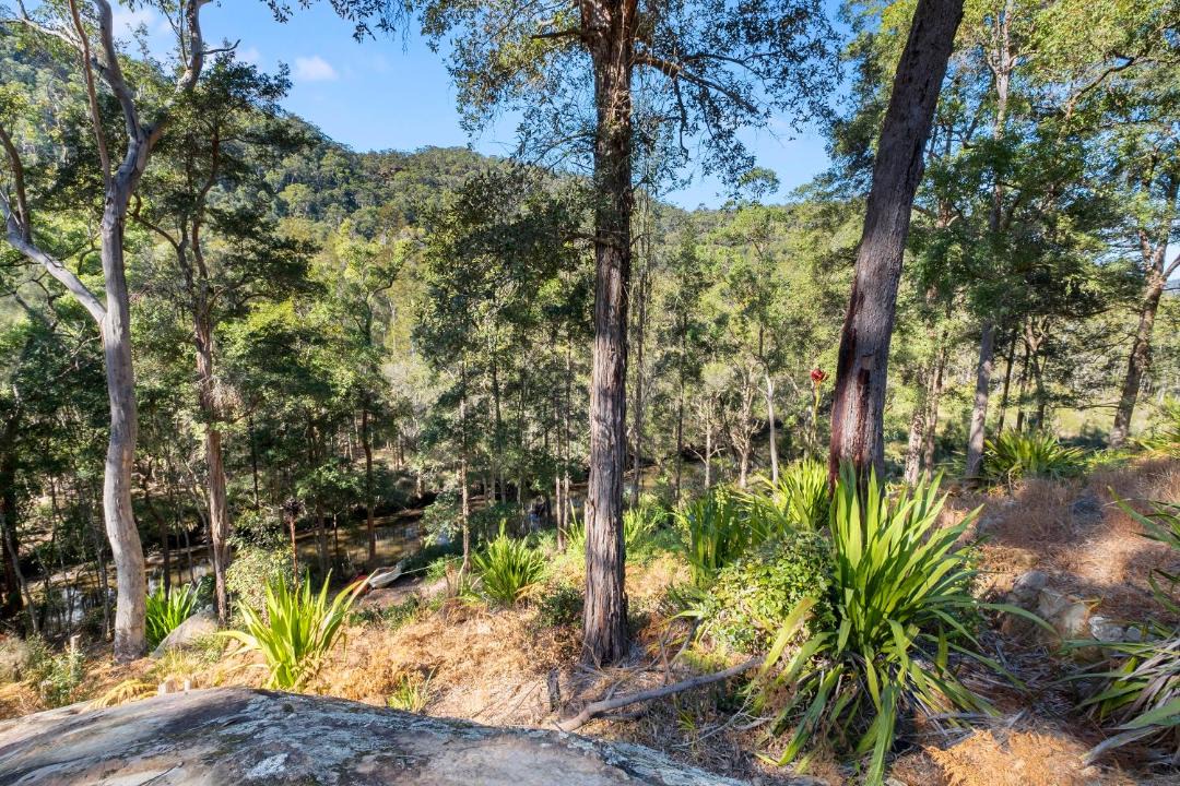 Photo of Others in Lower Mangrove