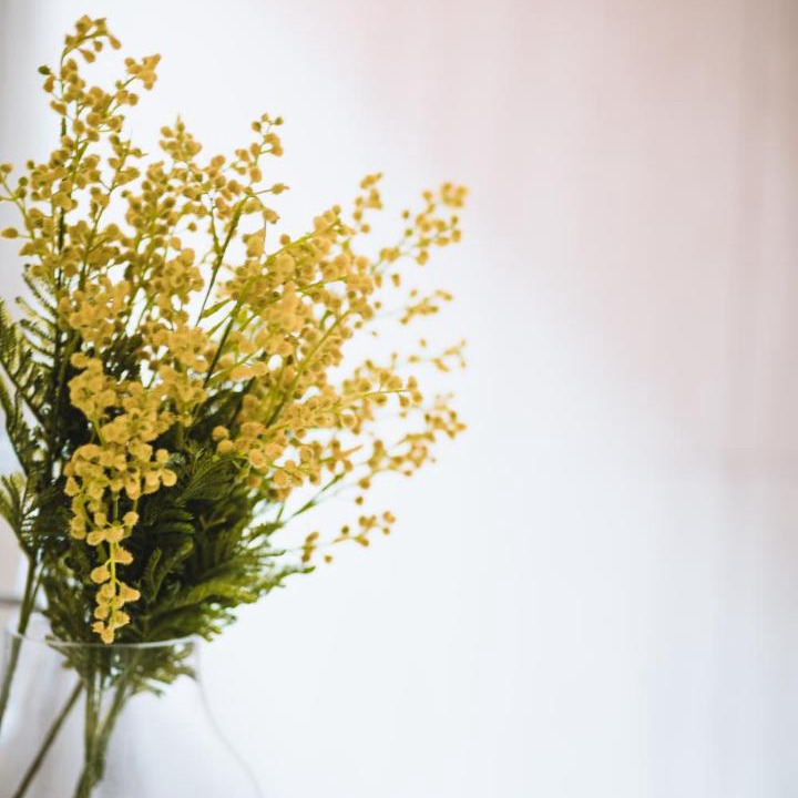 Photo of Others in Castlemaine