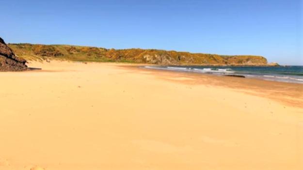 Photo of Others in Cullen