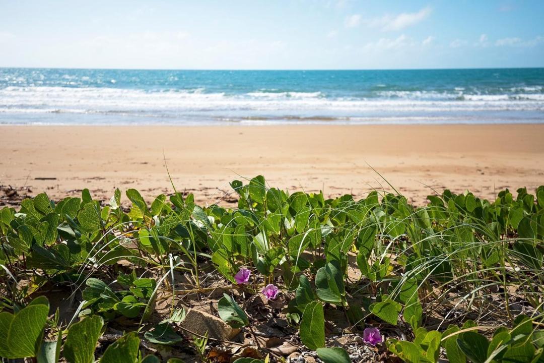 Photo of Others in Sarina Beach