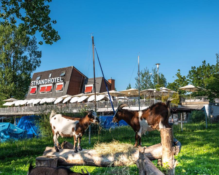 Photo of Others in Schmerikon
