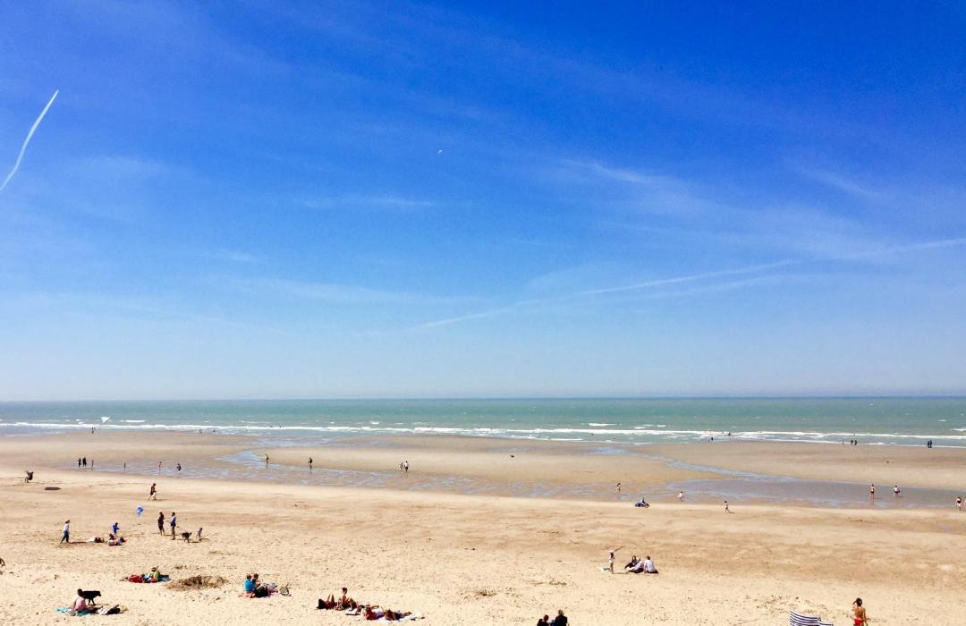 Photo of Others in Bray-Dunes