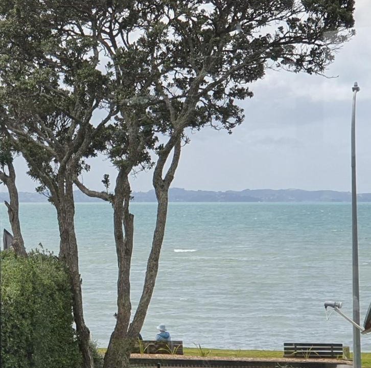 Photo of Others in Eastern Beach