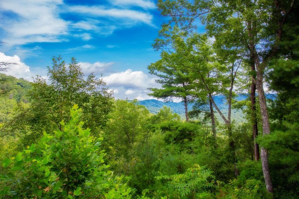 Photo of Outdoor in Sevierville