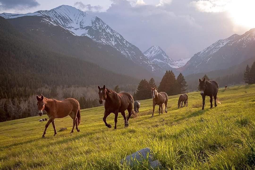 Photo of Others in Darby