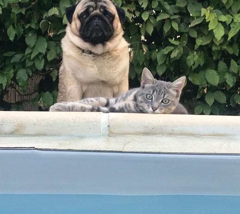 Photo of Others in La Salle