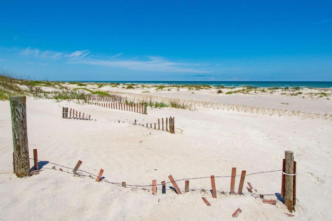 Photo of Others in St. Augustine Beach