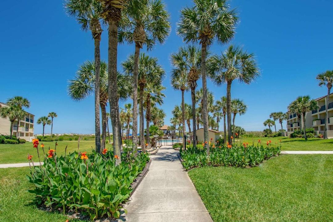 Photo of Others in St. Augustine Beach
