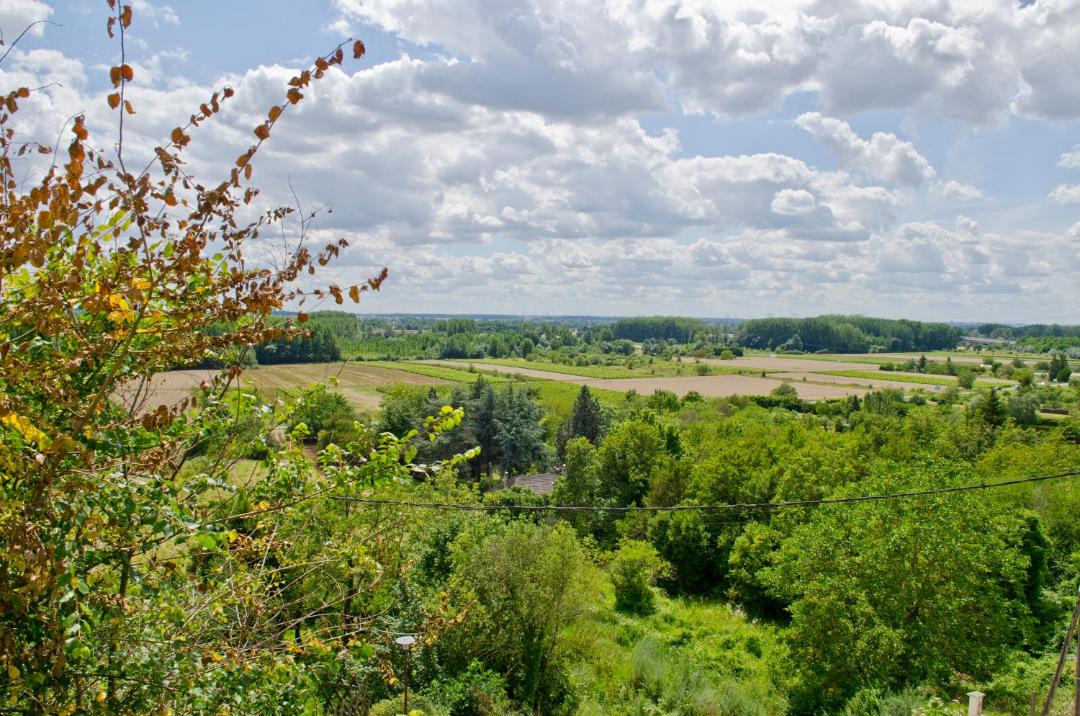 Photo of Others in Vouvray