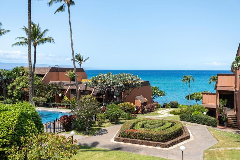 Photo of Others in Honokowai