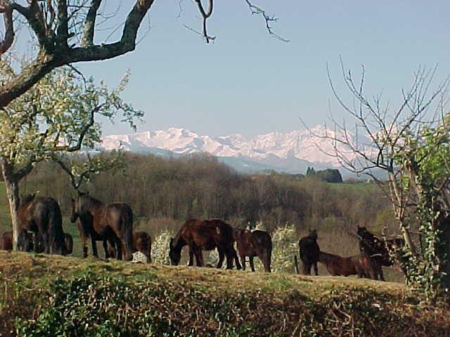 Photo of Others in Lasserre