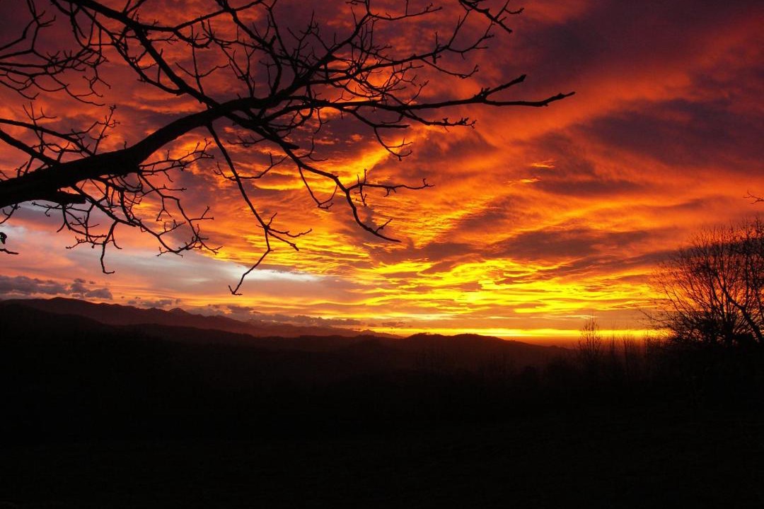 Photo of Others in Lasserre