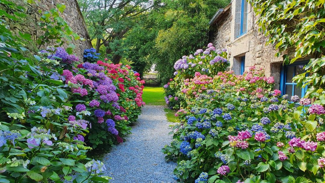 Photo of Others in La Gree-Saint-Laurent