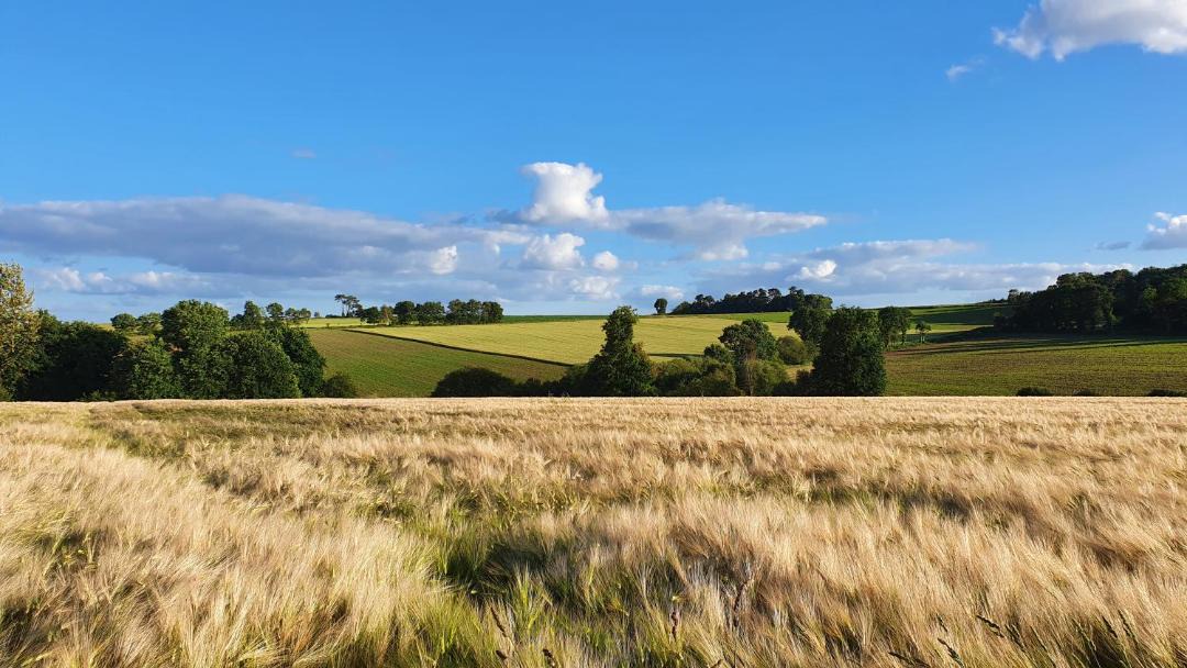 Photo of Others in La Gree-Saint-Laurent