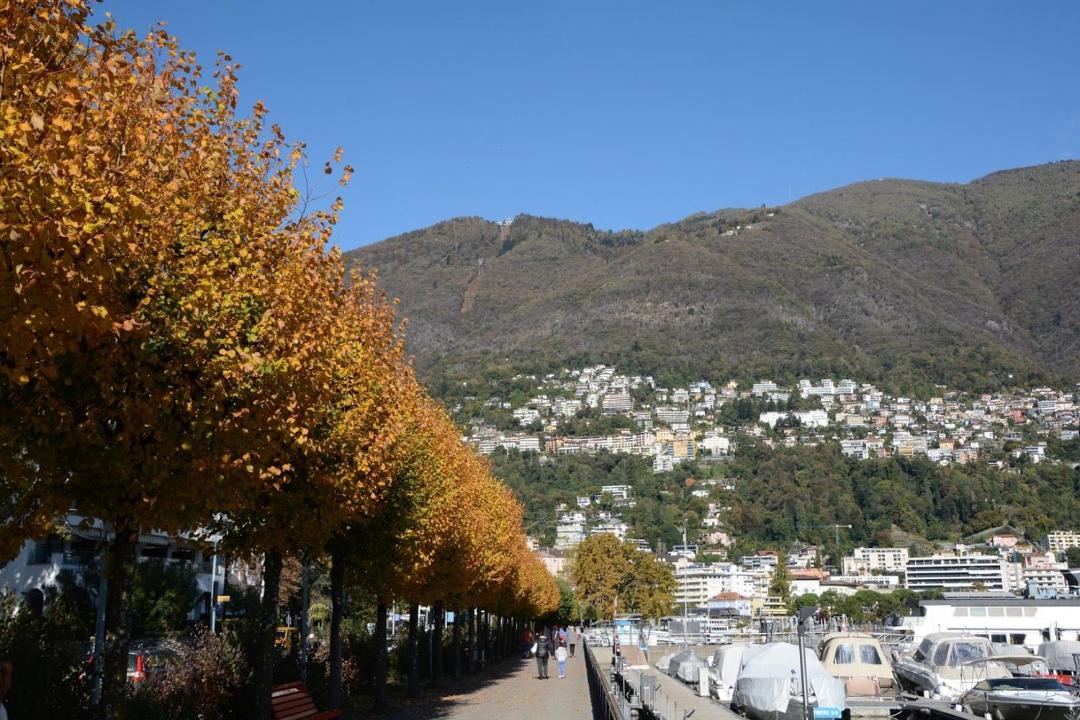 Photo of Others in Muralto