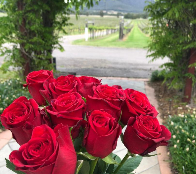 Photo of Others in Broke