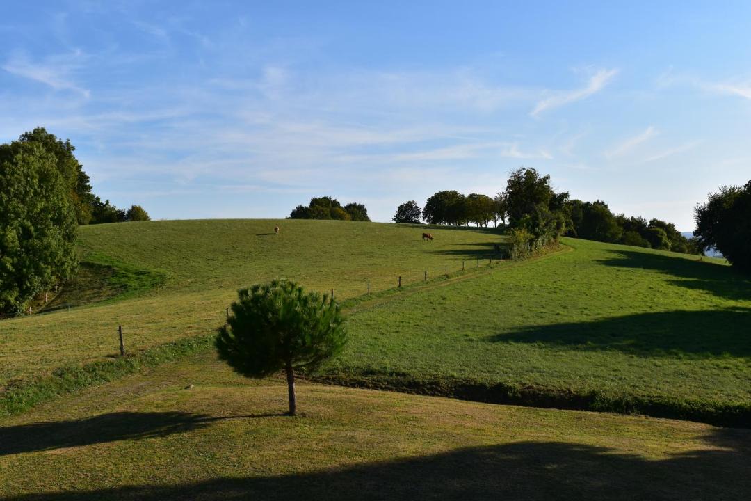 Photo of Outdoor in Saint-Hilaire-Peyroux