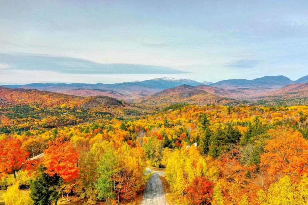 Photo of Others in Jackson