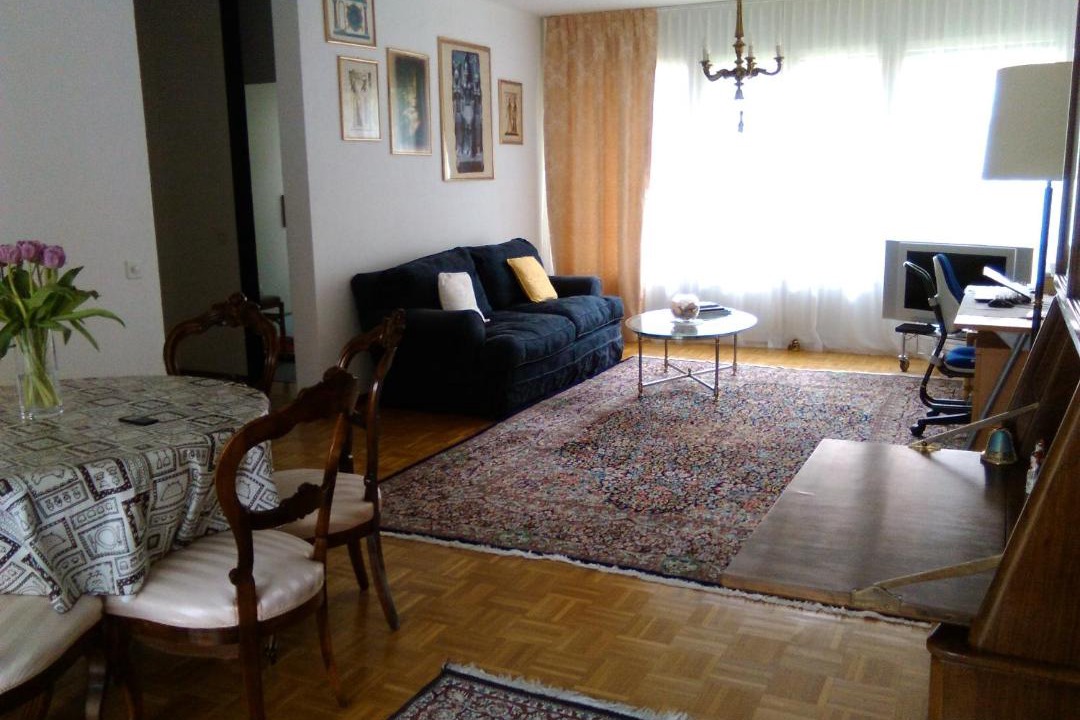 Photo of Livingroom in Lugano