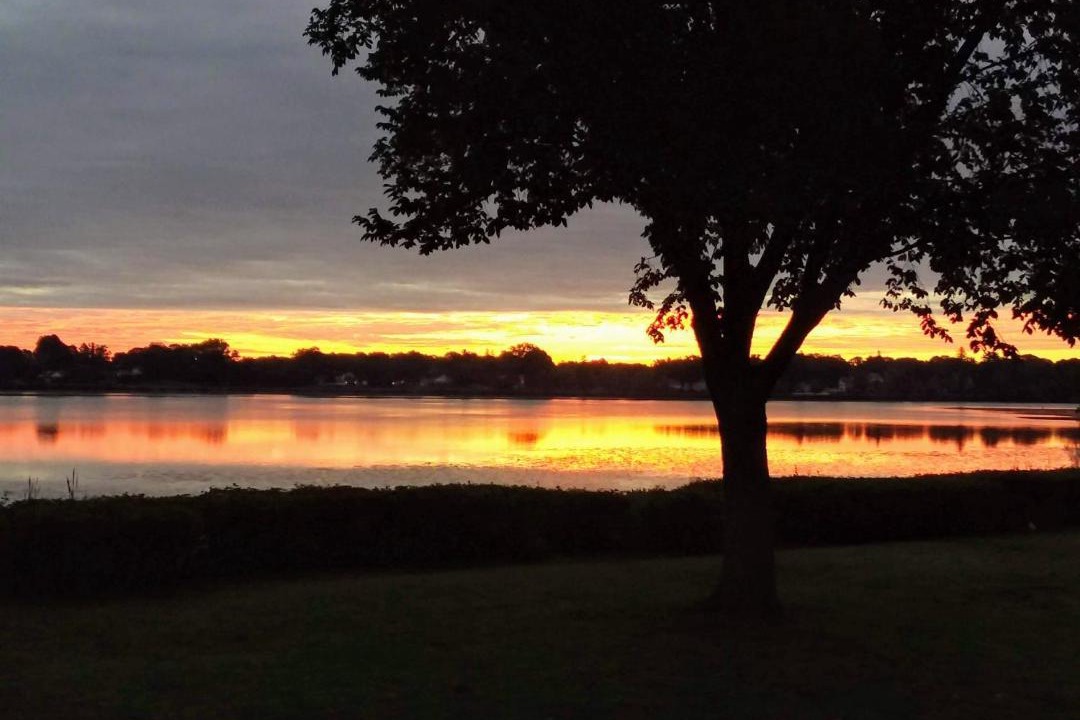 Photo of Others in Wakefield