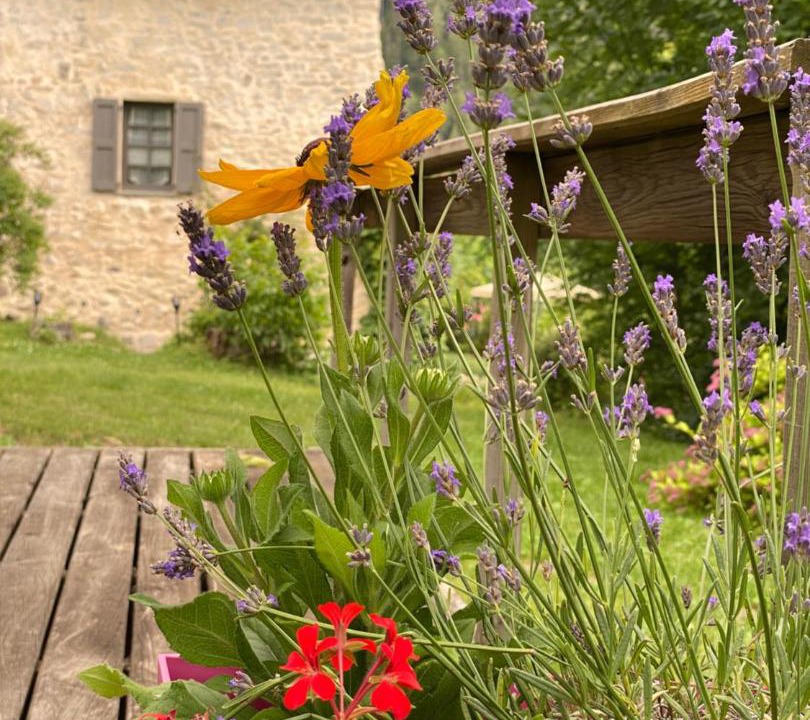 Photo of Others in Meolans-Revel