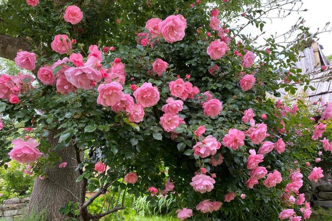 Photo of Others in Meolans-Revel