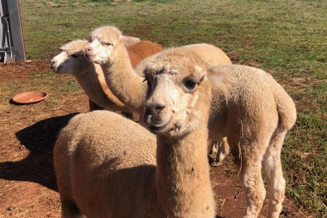 Photo of Others in Smeaton