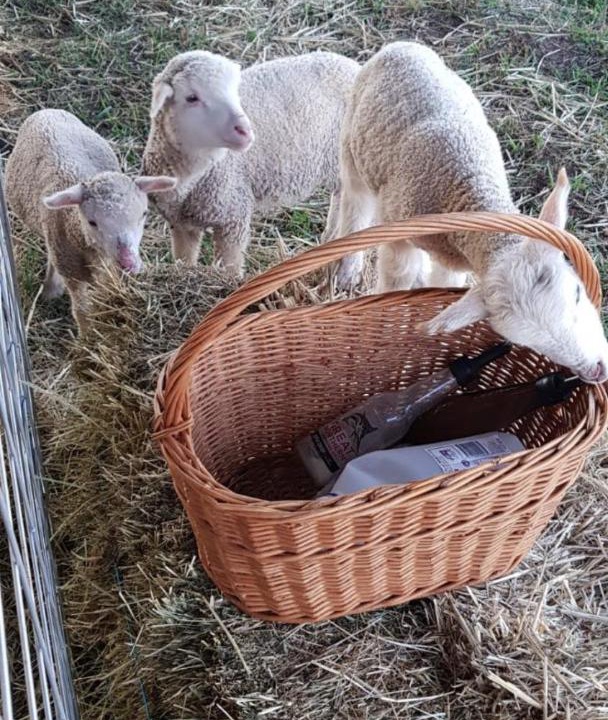 Photo of Others in Smeaton